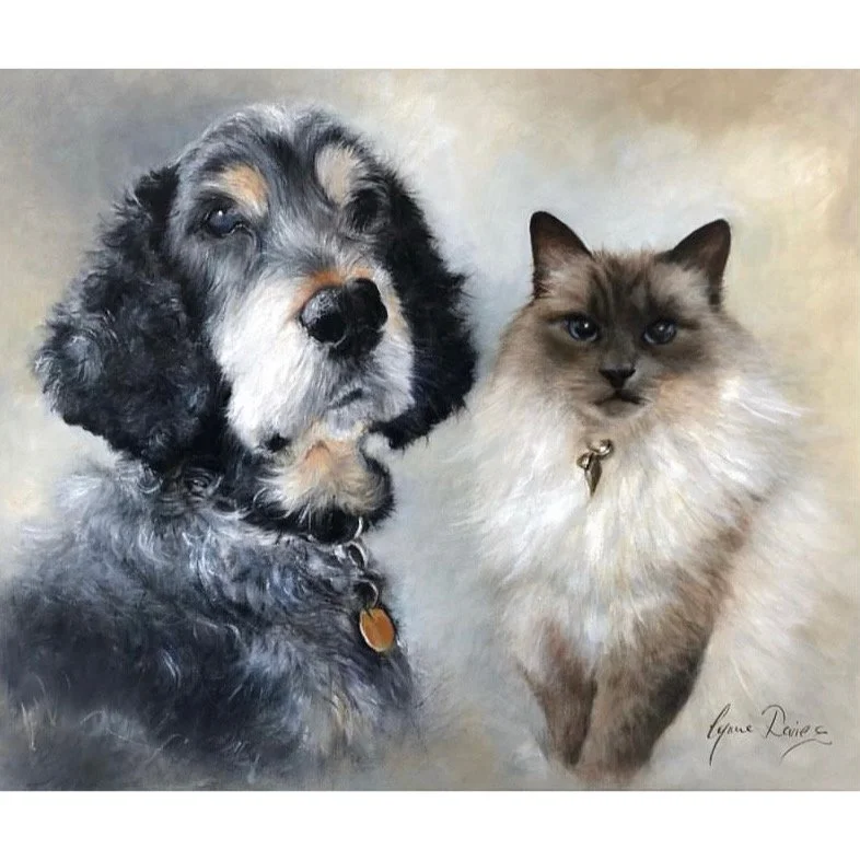 dog and cat.JPG