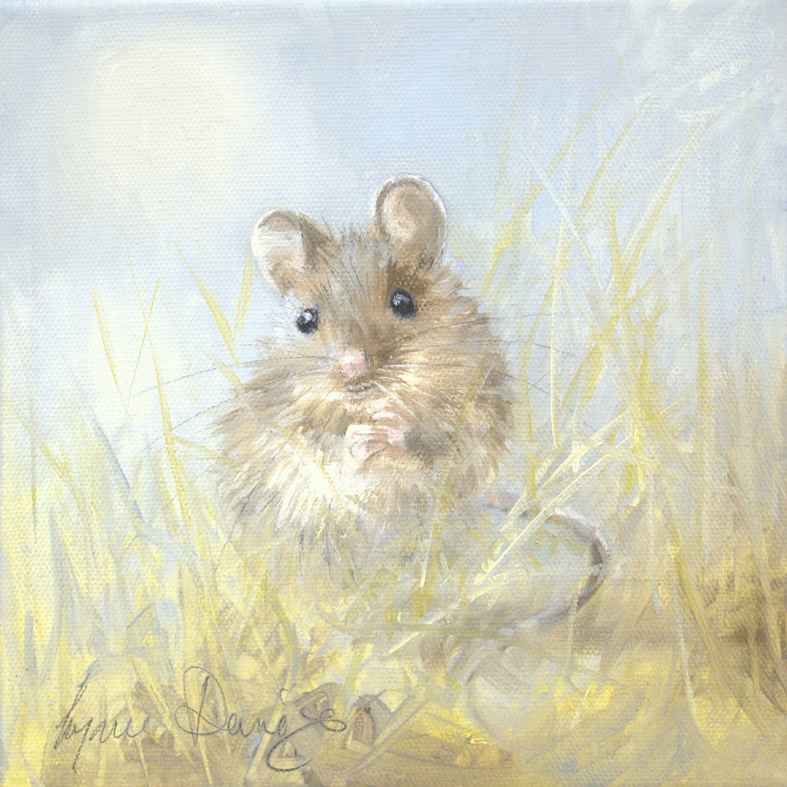 Heidi Mouse