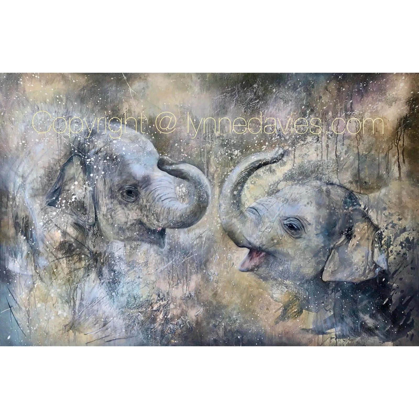 Whitagram-Image 7.JPG