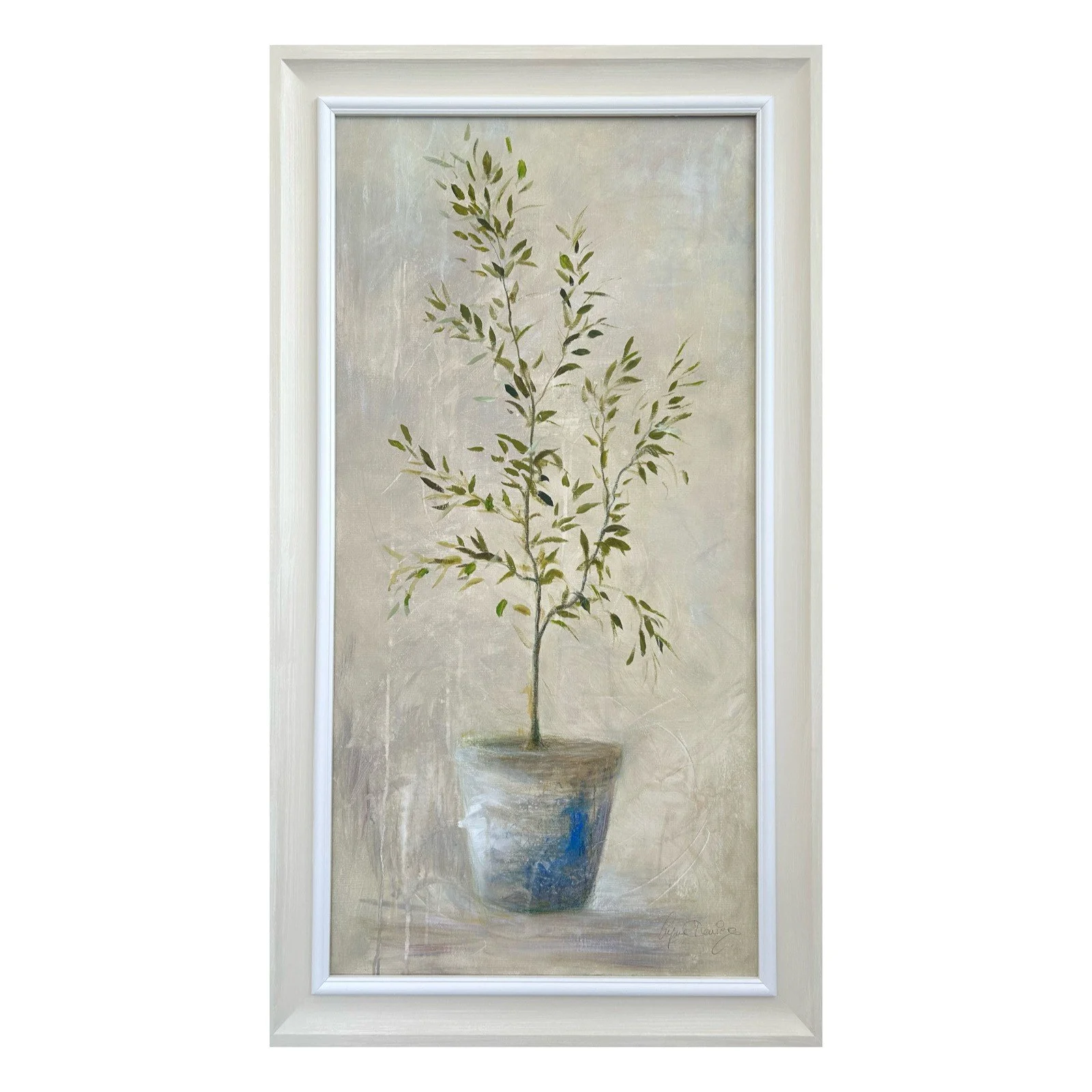 Olive Tree