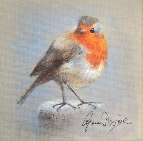 robin.jpg