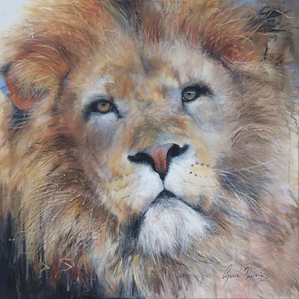 lion study.jpg