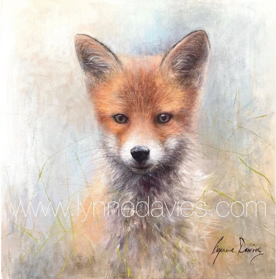 fox.jpg