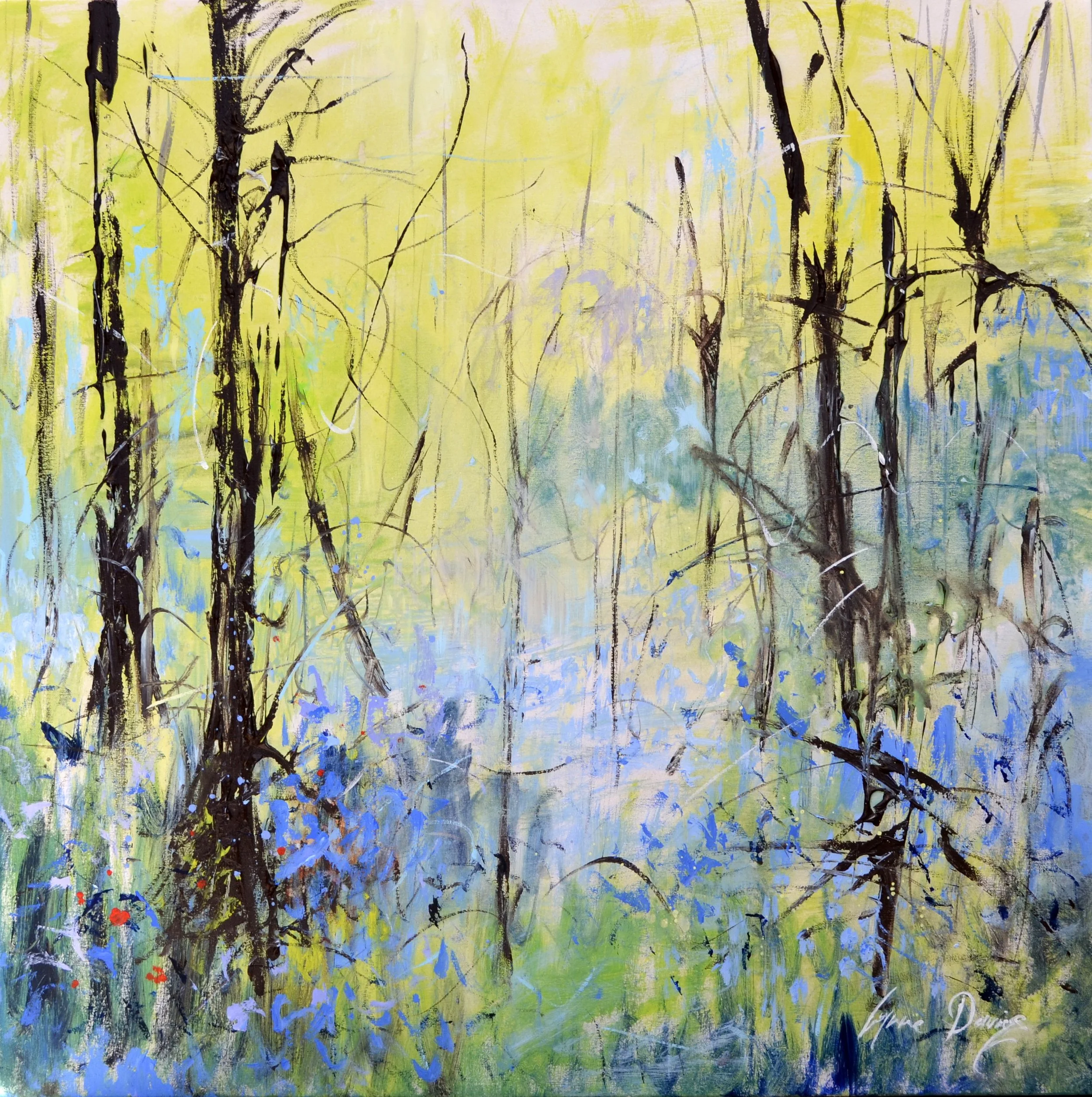 Dance of the Bluebells 001-002.JPG