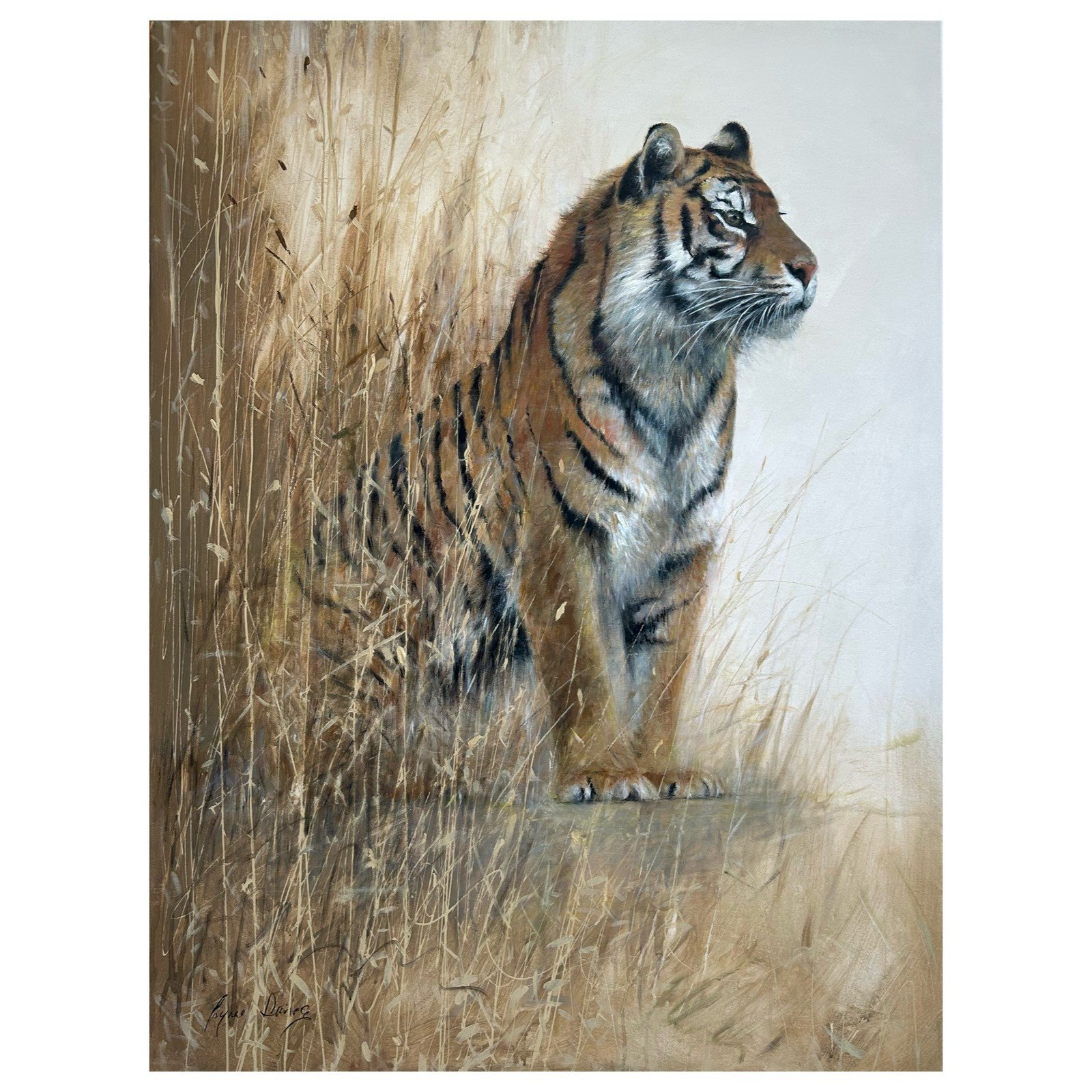 vantage point cropped.jpeg