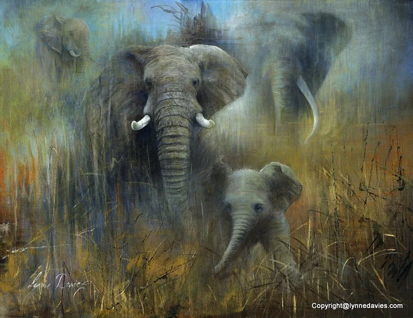 Wildlife — Lynne Davies Art
