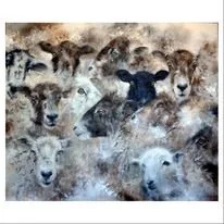 Black sheep of the family framed.jpg