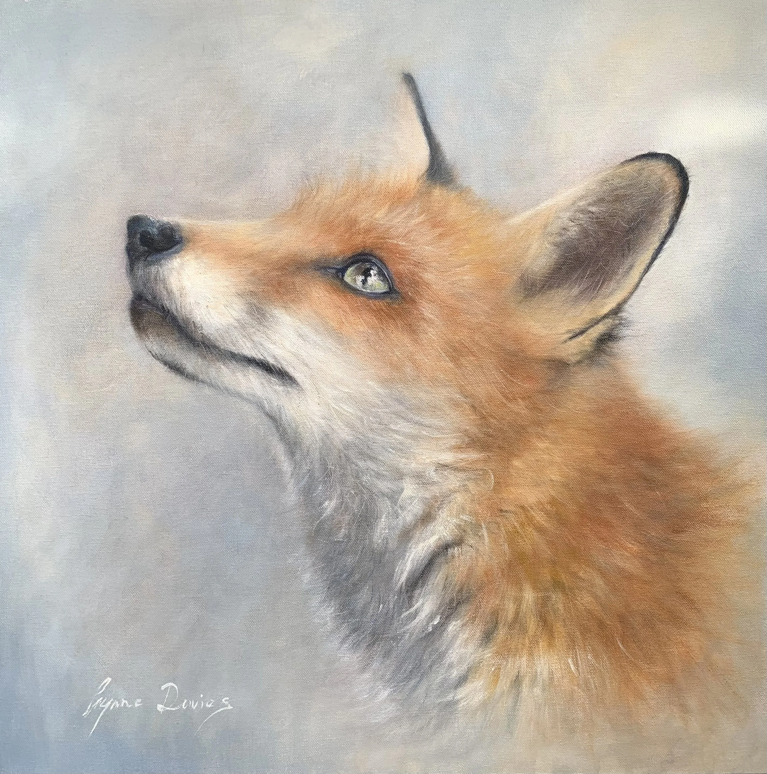 Wildlife — Lynne Davies