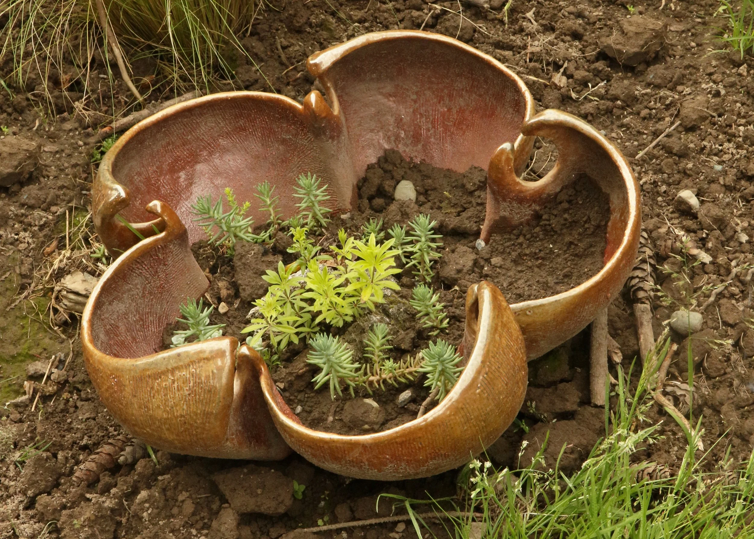 5-17-26 098.jpg