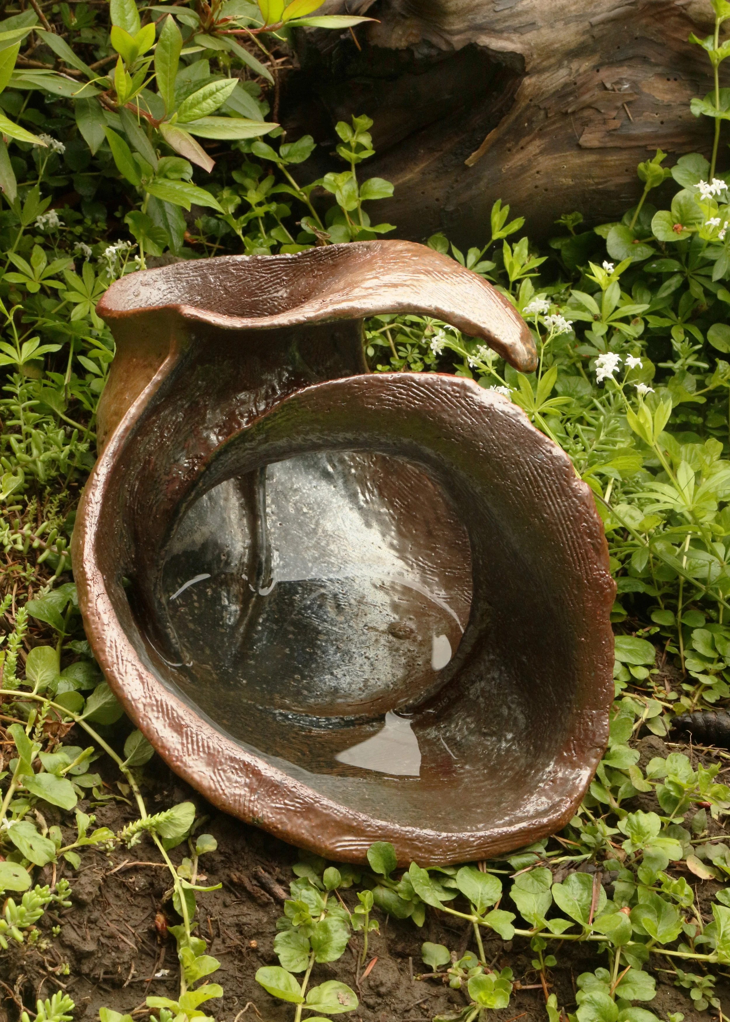 5-17-26 004.jpg