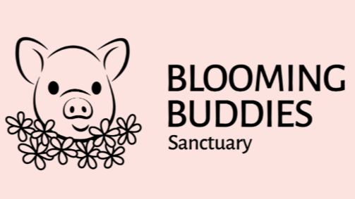 Blooming Buddies Sanctuary Inc.