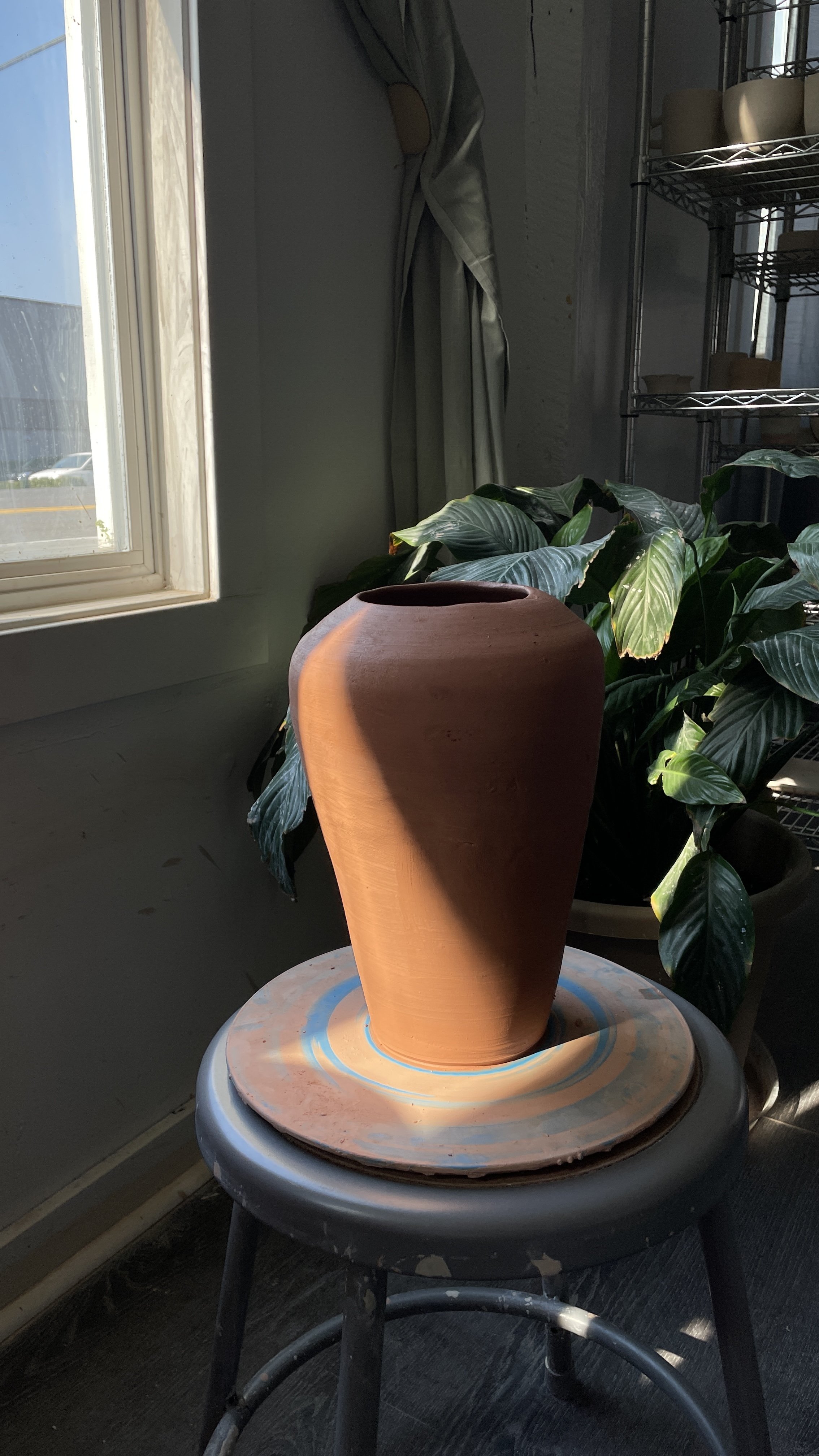 of the earth collective intermediate wheel class 1