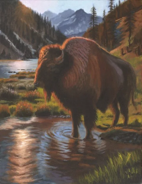 Bison at Sunset
14x18 Oil Framed