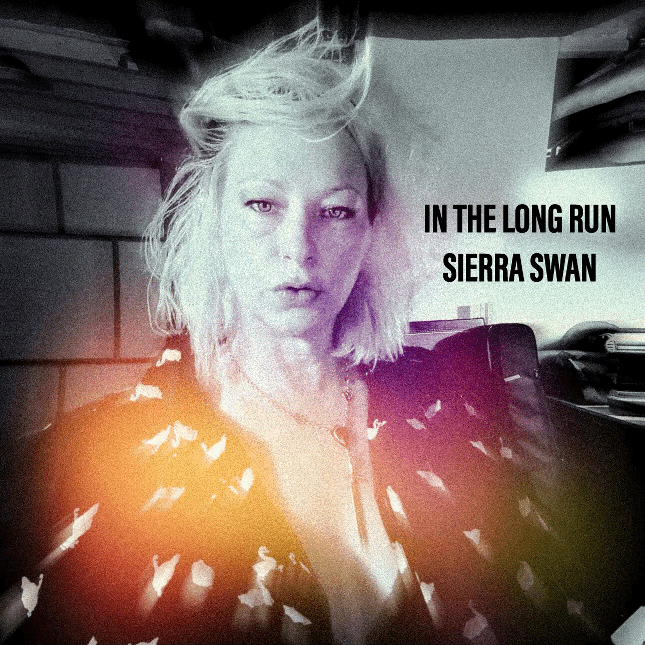 IN THE LONG RUN (LIVE IN THE SWAN POND)