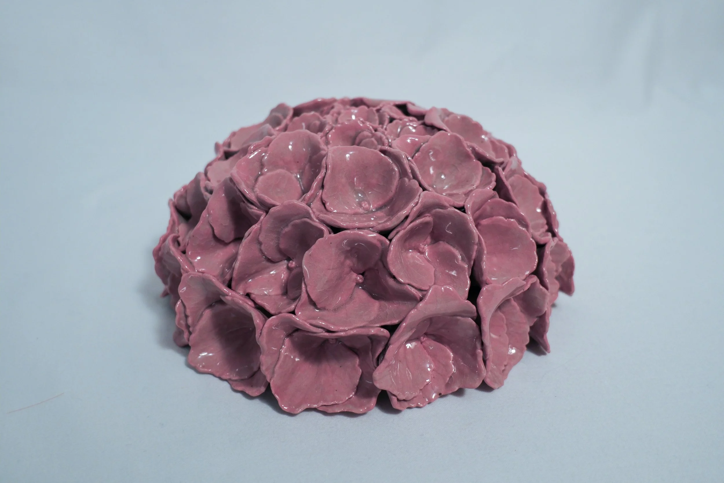 Garden Series-Rosa (1).jpg
