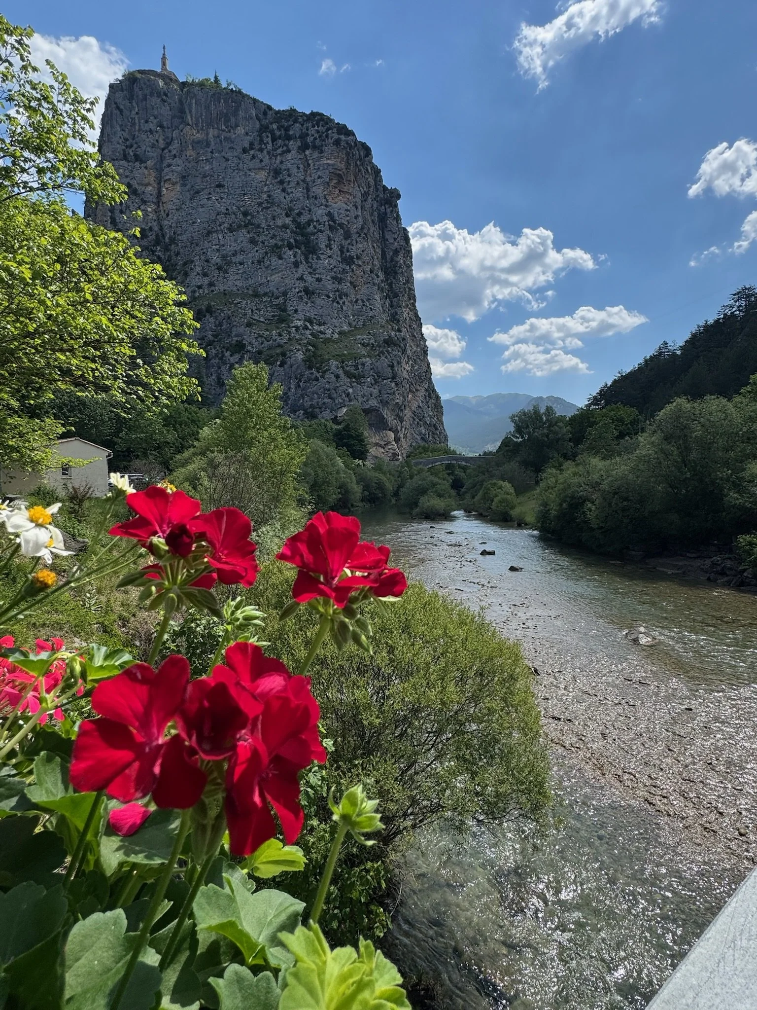 IMG_4389.jpeg