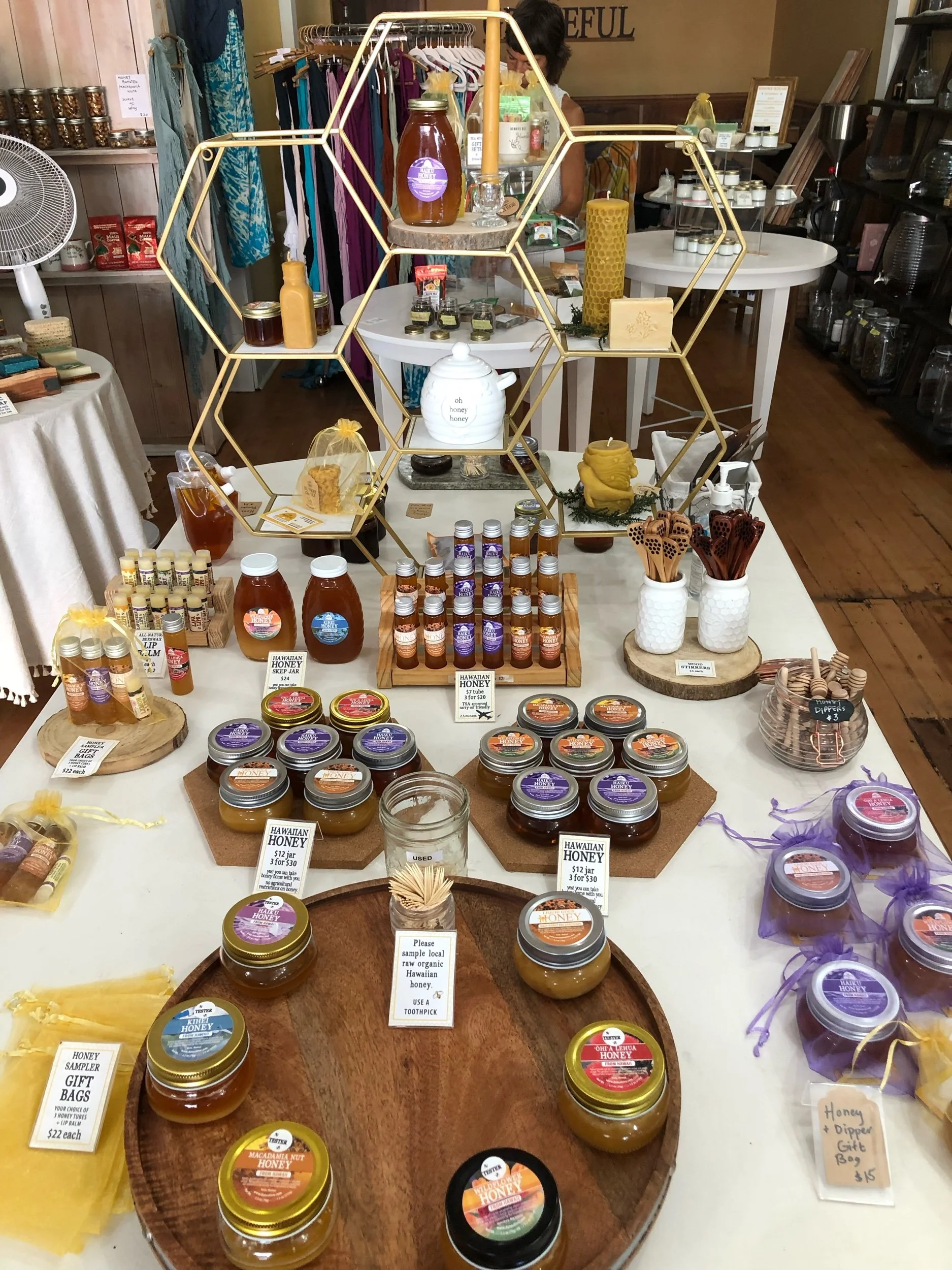 Log 33: To Maui and Beyond