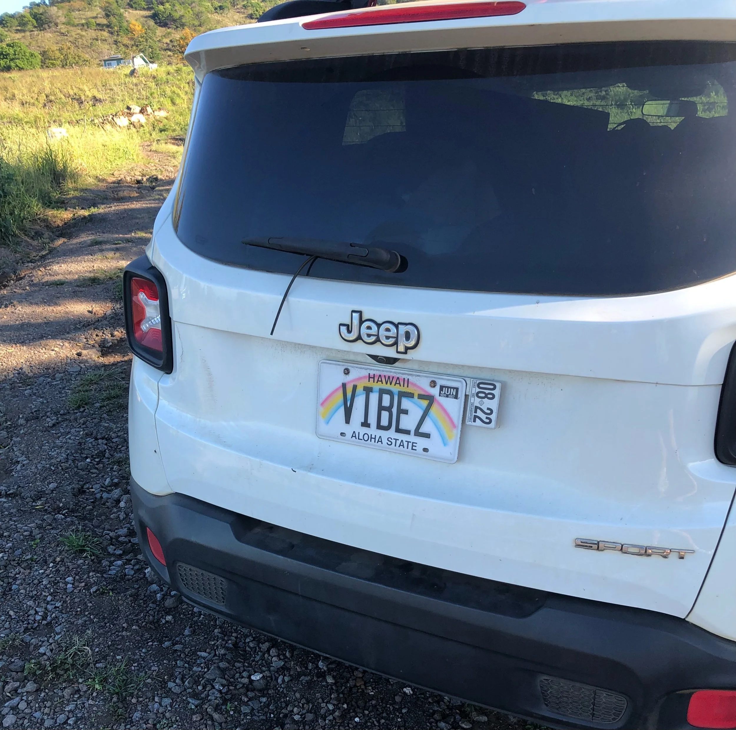 Log 38: Good Vibes Only