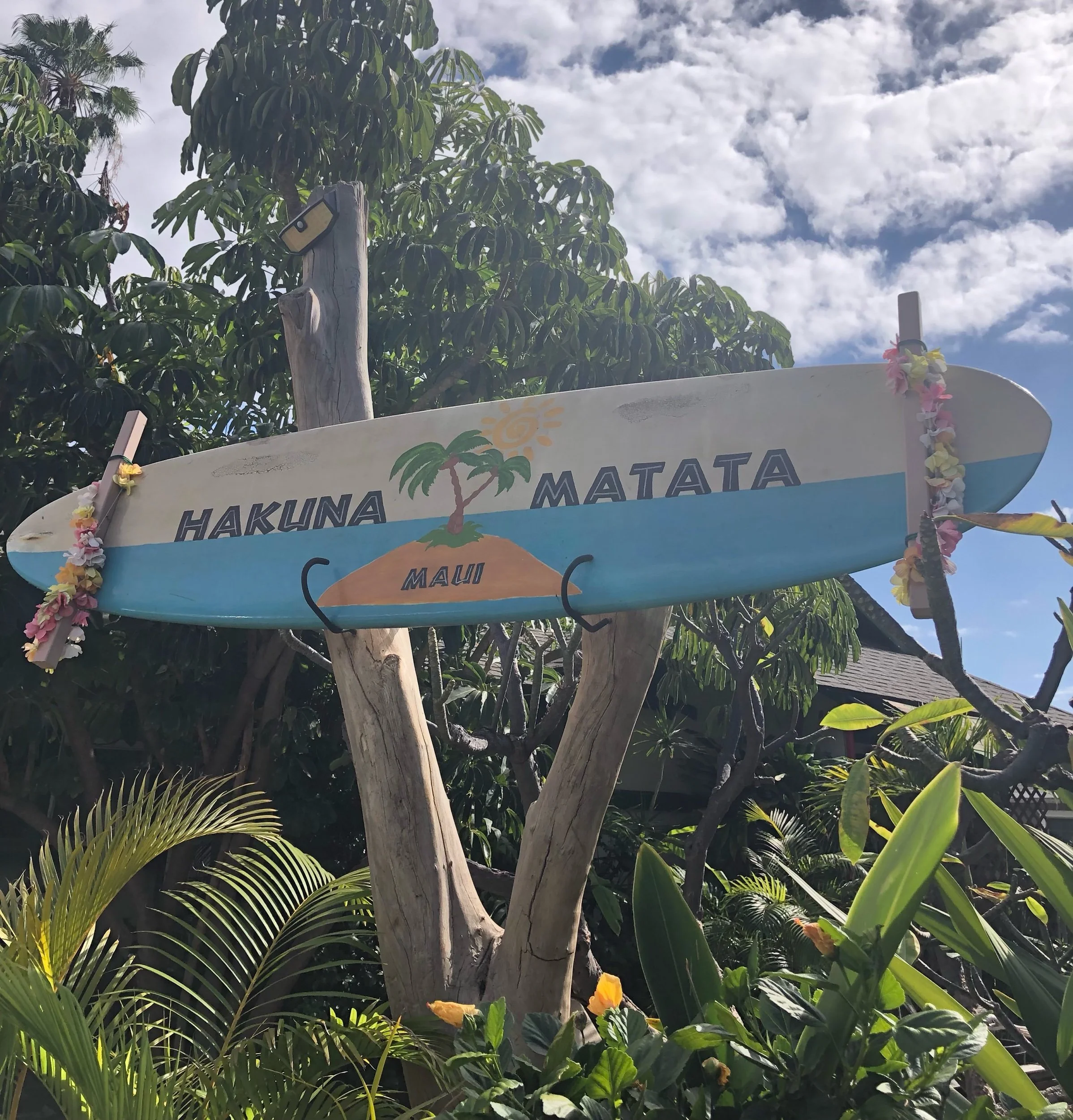 Log 39: Going, going, gone