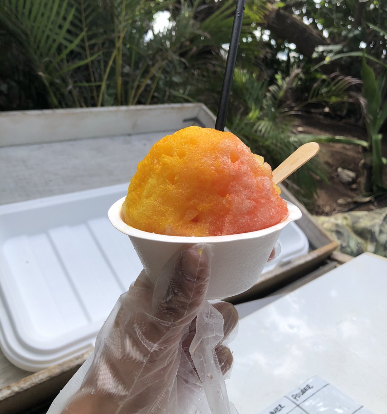 Log 46: Baptism by Ice