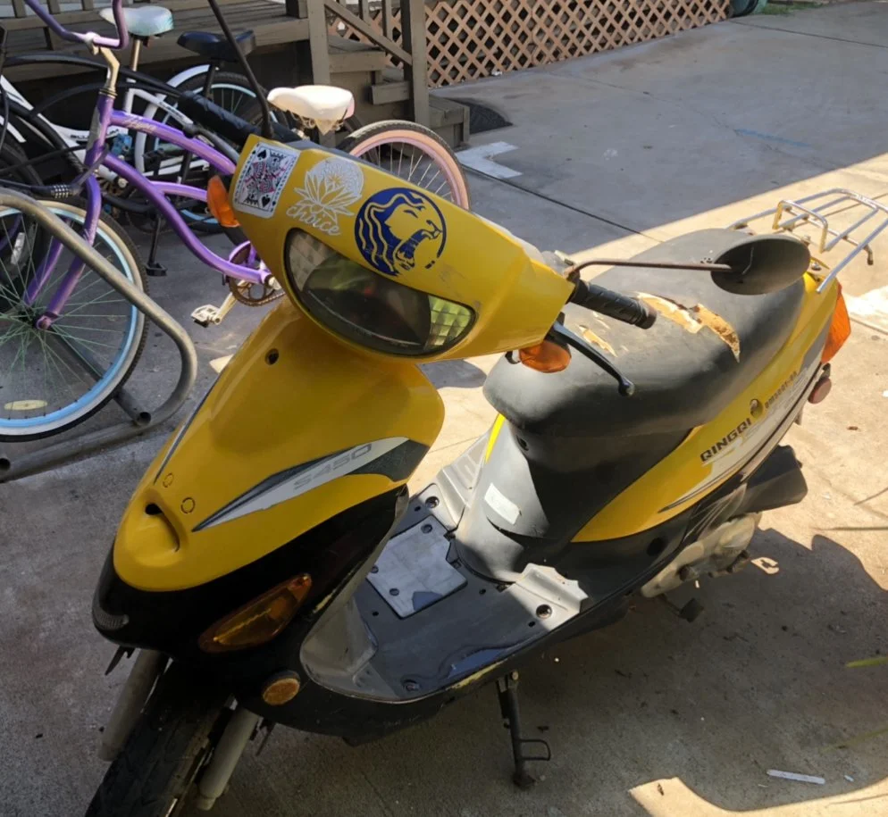 Log 48: Getting in a Grove Pt.2