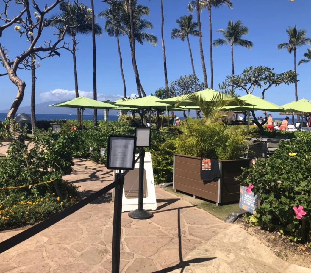 Log 47: One Man’s Trash is Another’s Treasure