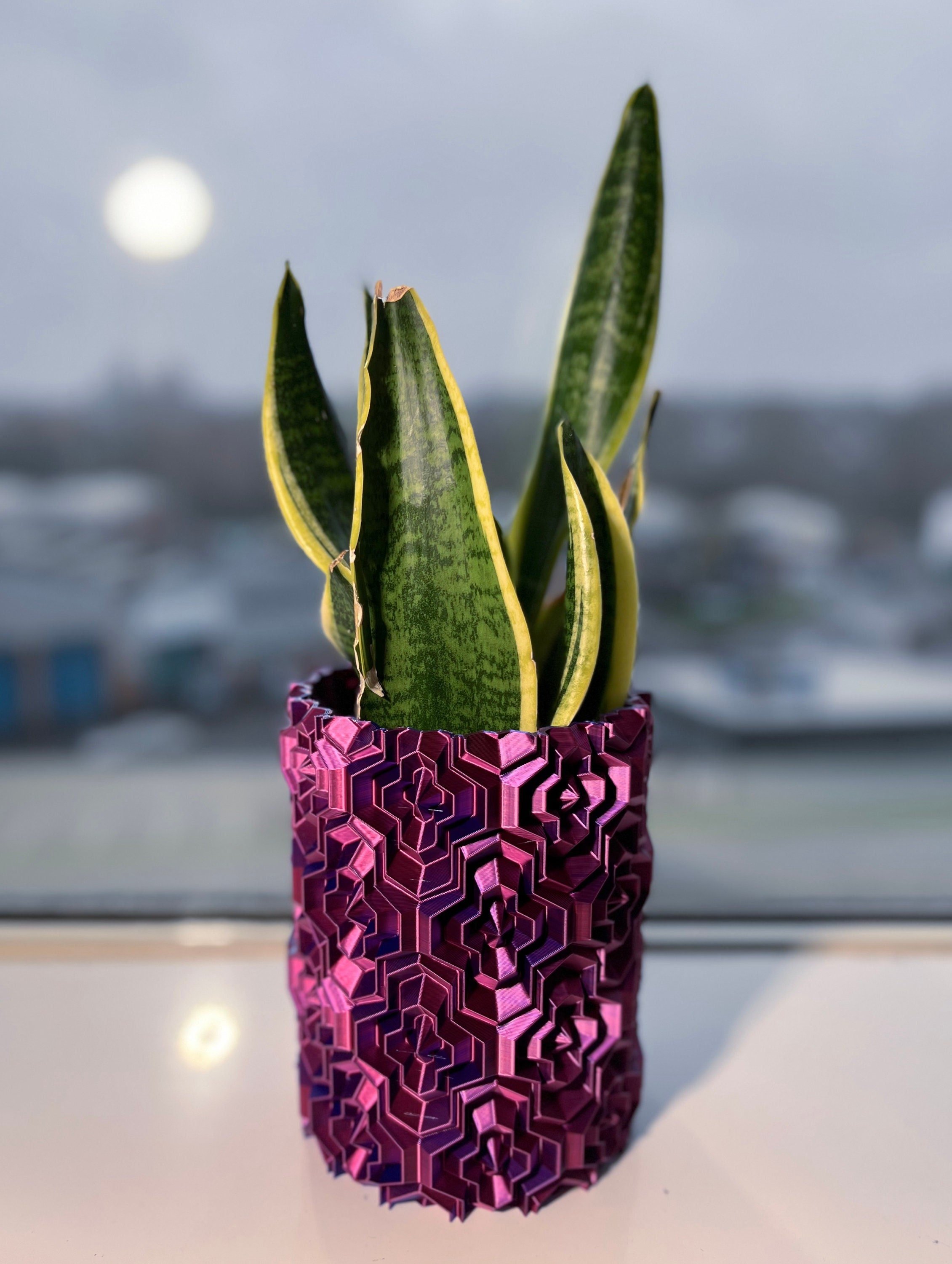 https://i.etsystatic.com/28992484/r/il/6af1fe/4776527399/il_fullxfull.4776527399_9duz.jpg
