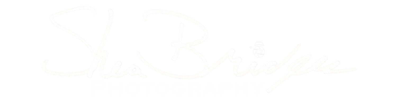 Shea Bridges Photography
