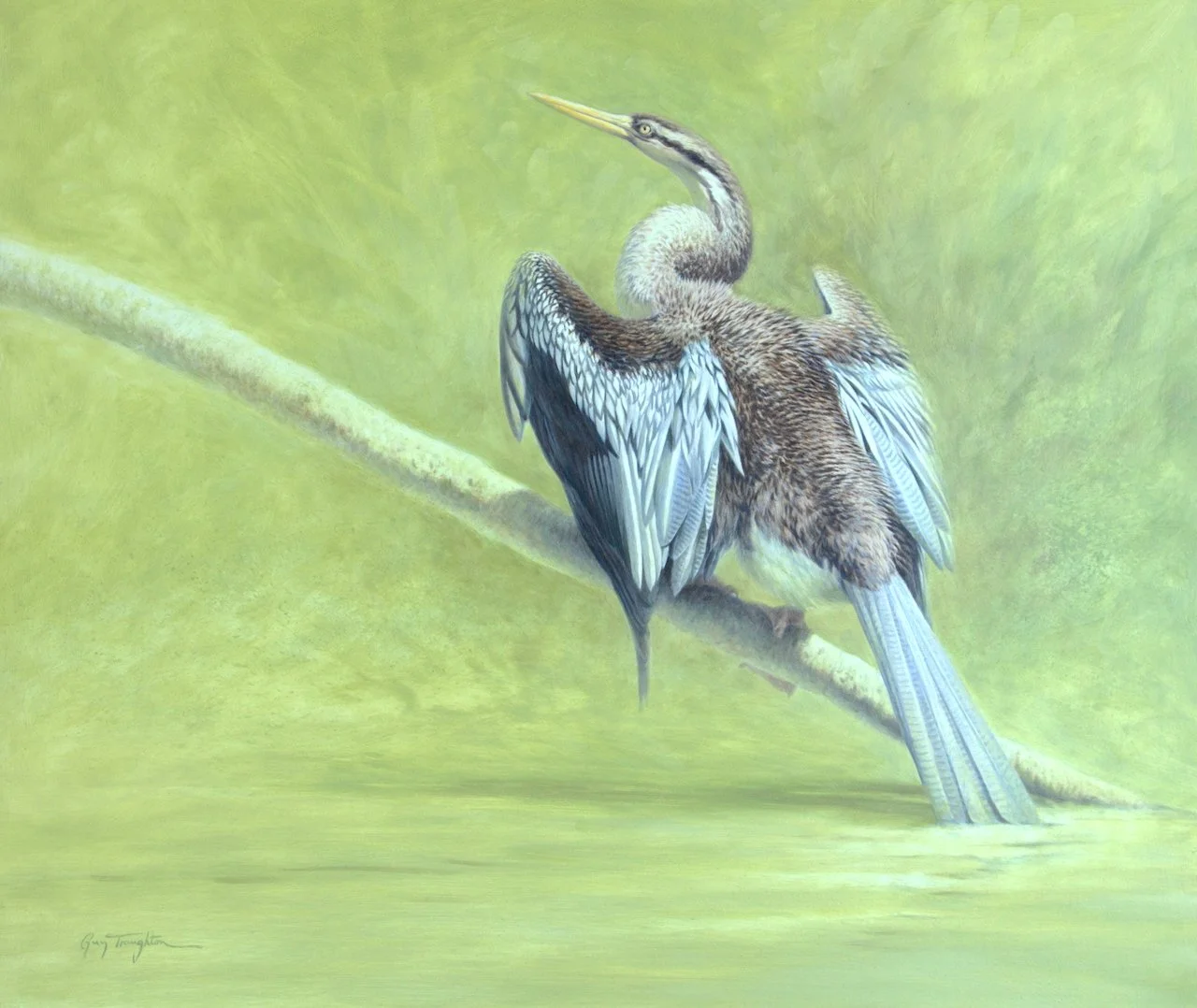 Darter  564x61cm  oil on panel  $4500