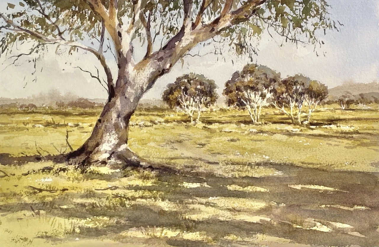 Shade on a Hot day.jpeg