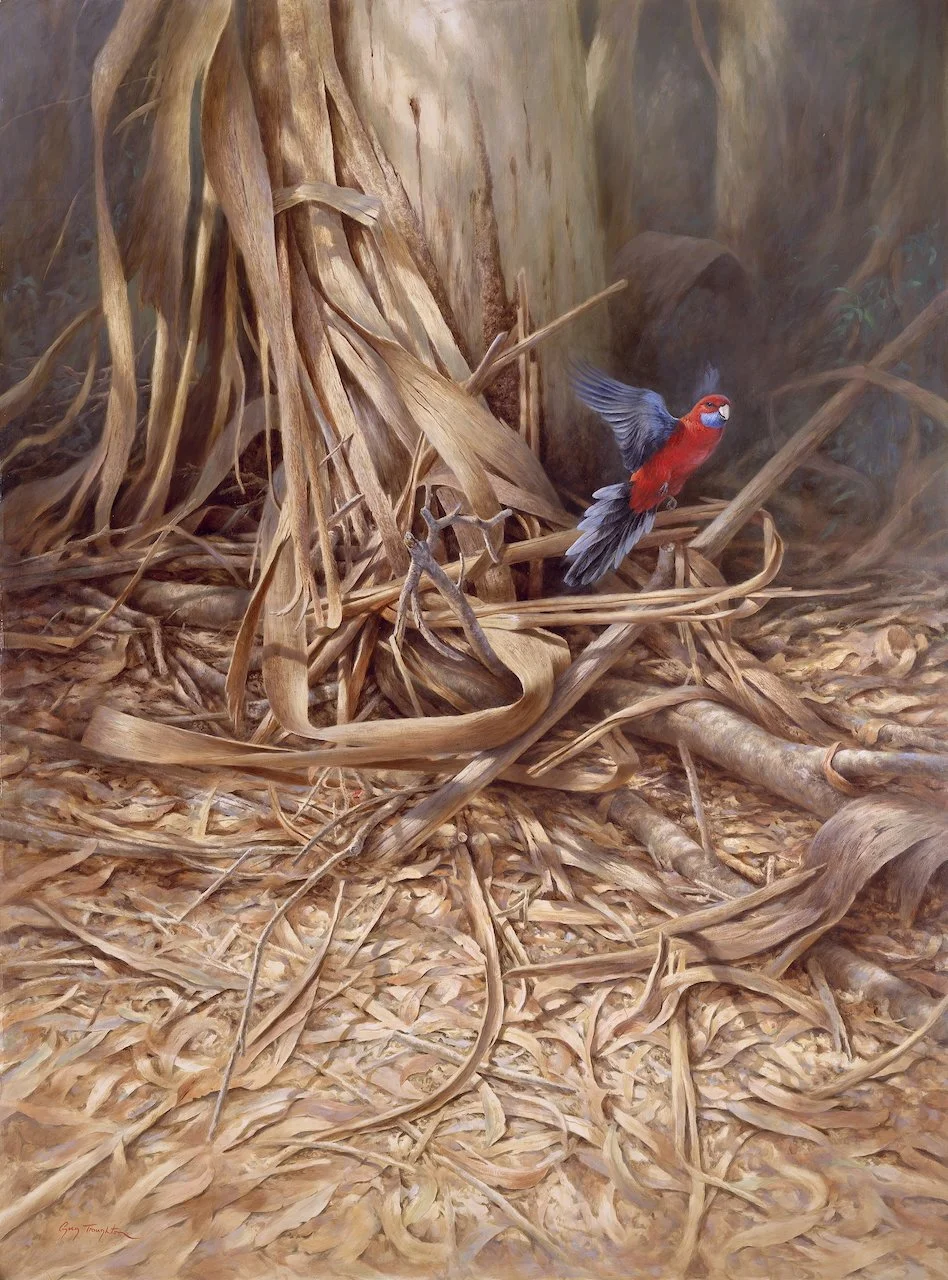 Mountain Rosella 121x90cm  oil on panel  SOLD