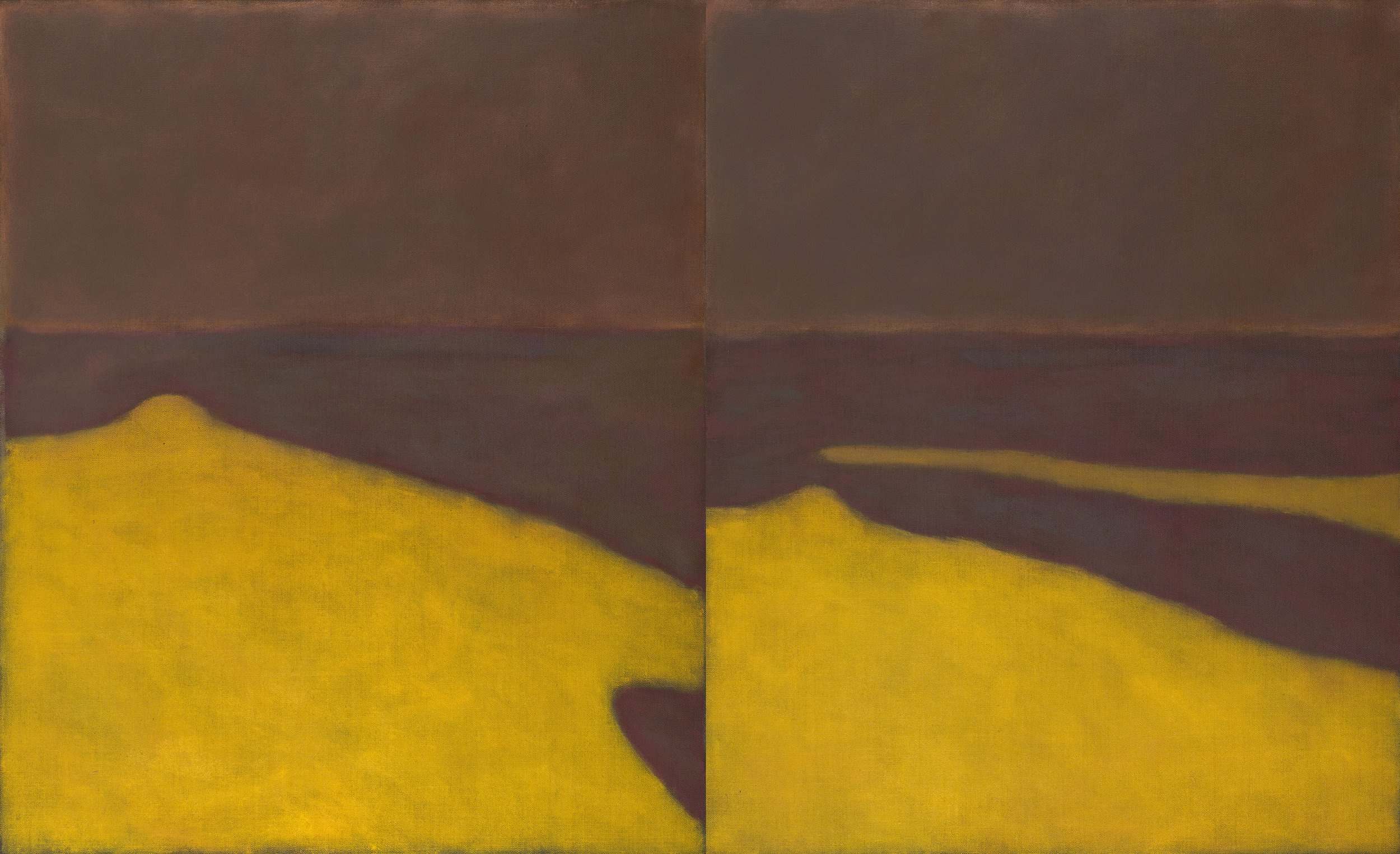 'Aral Sea 2001' oil on linen in two panels 115cm x 170cm. Photo: Stephen Best