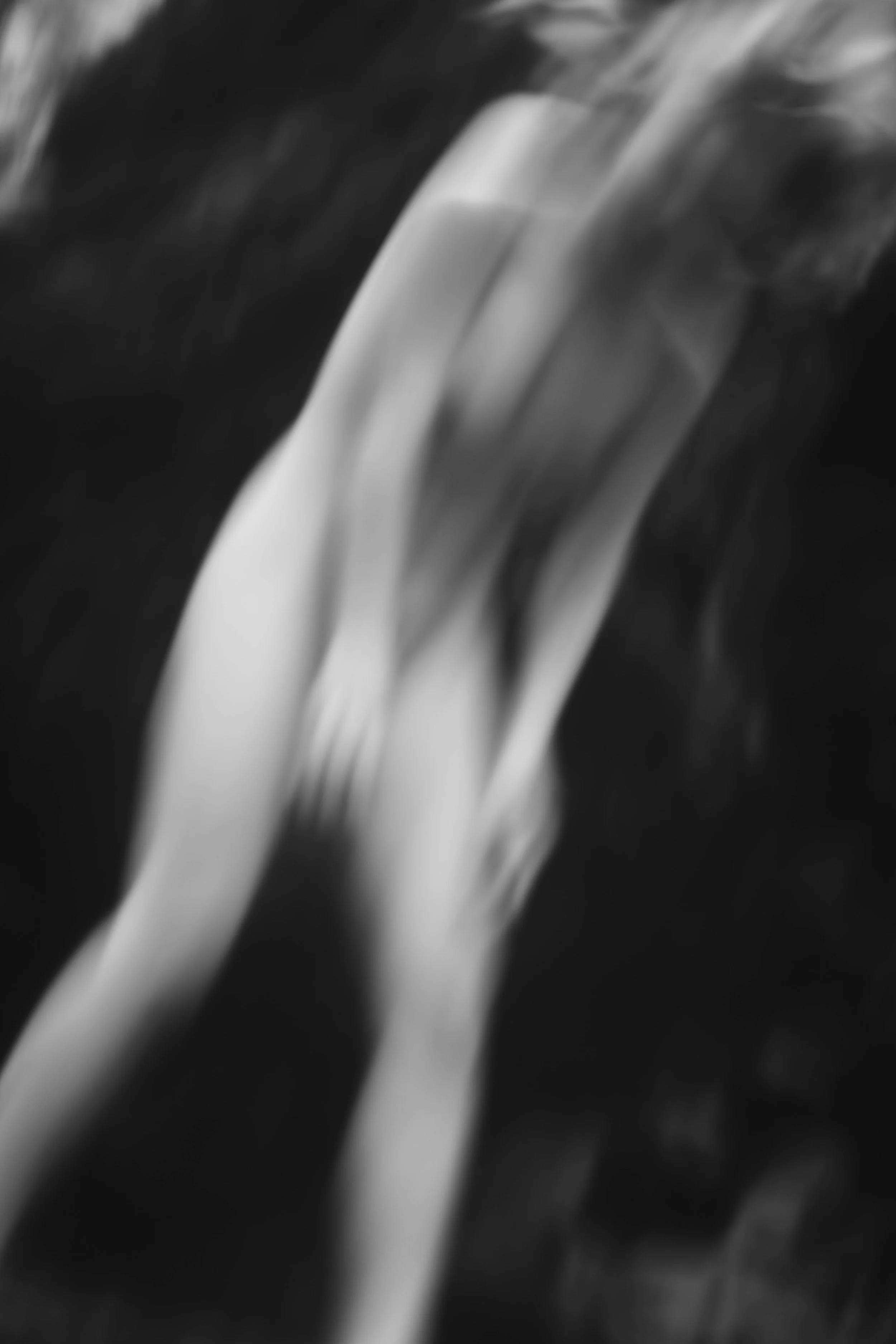 L1000221.jpg