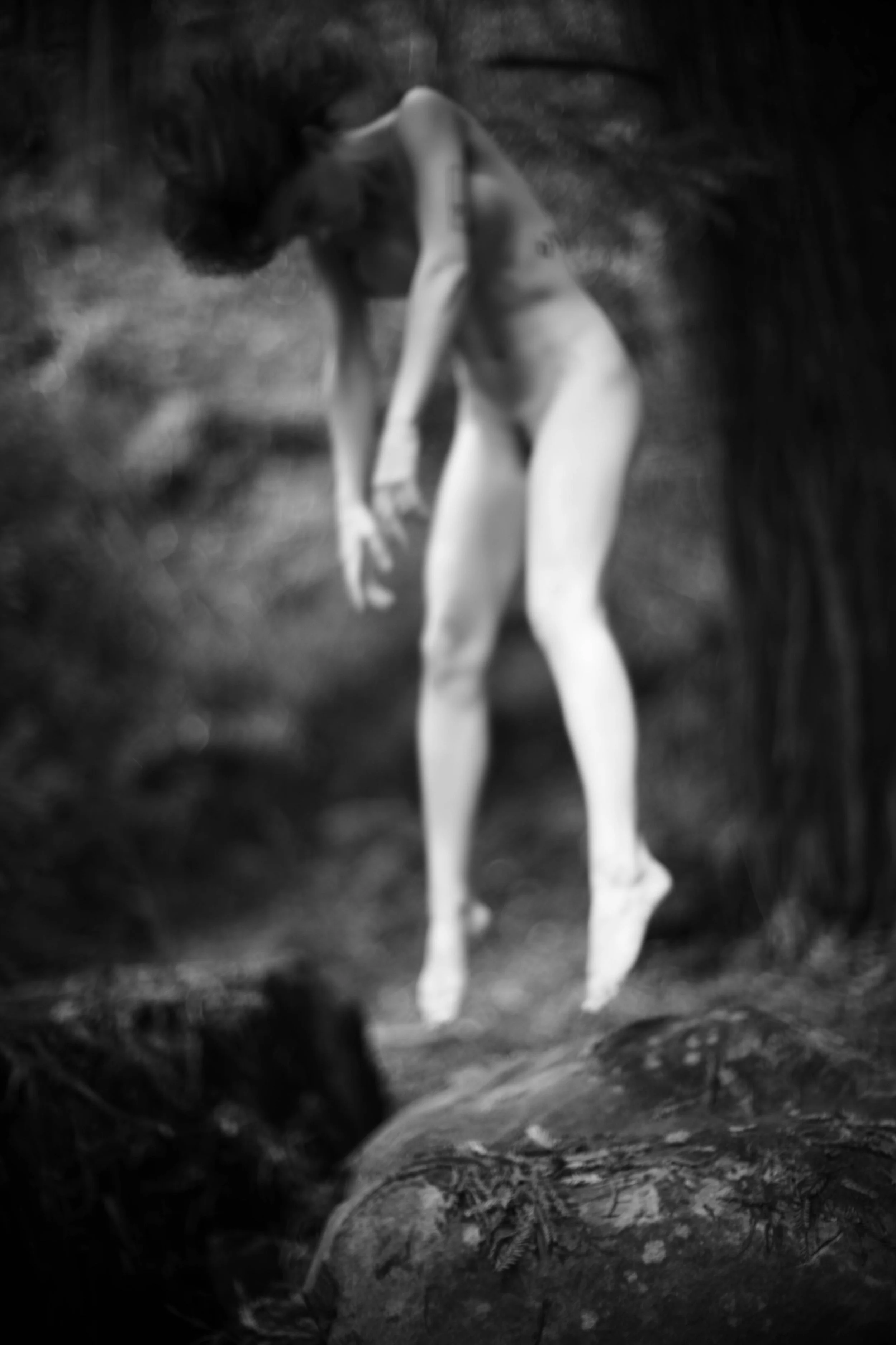 L1000159.jpg