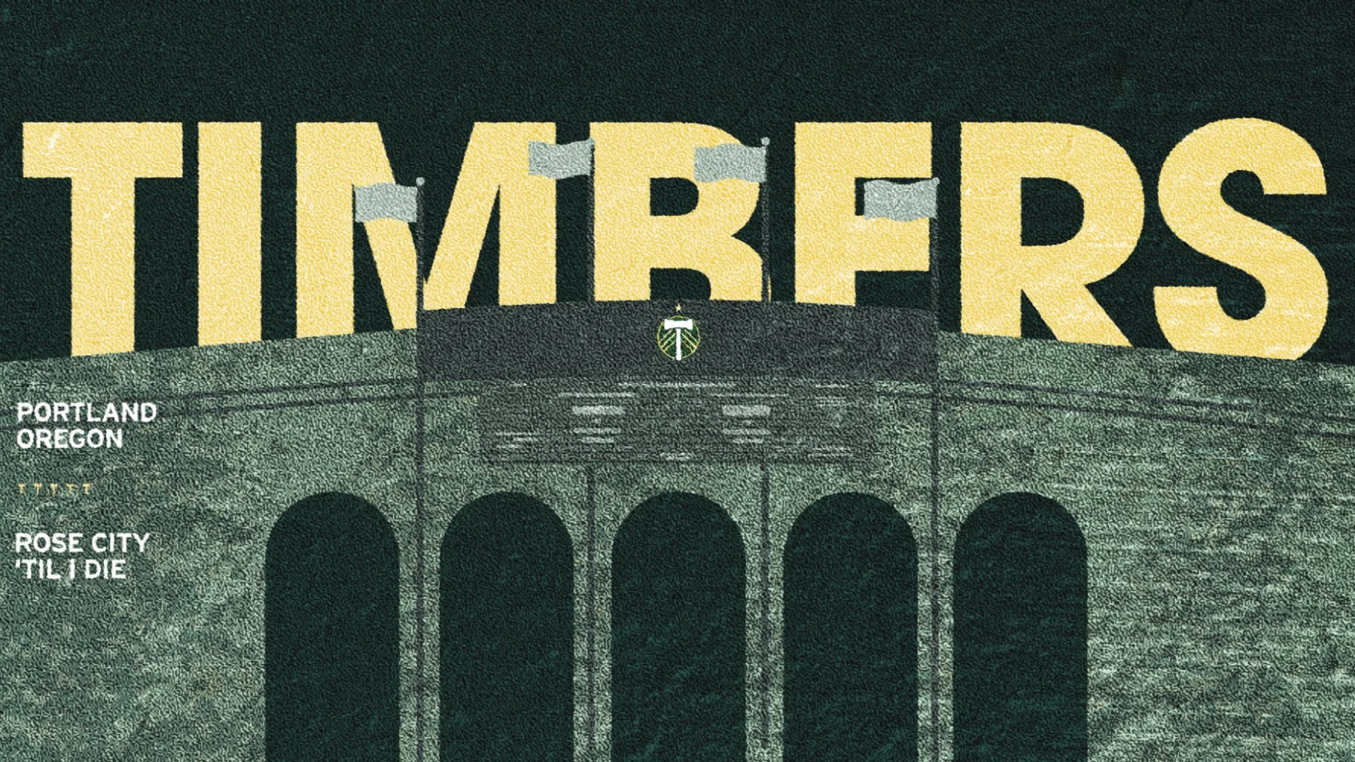 timbers styleframe - 21.jpg