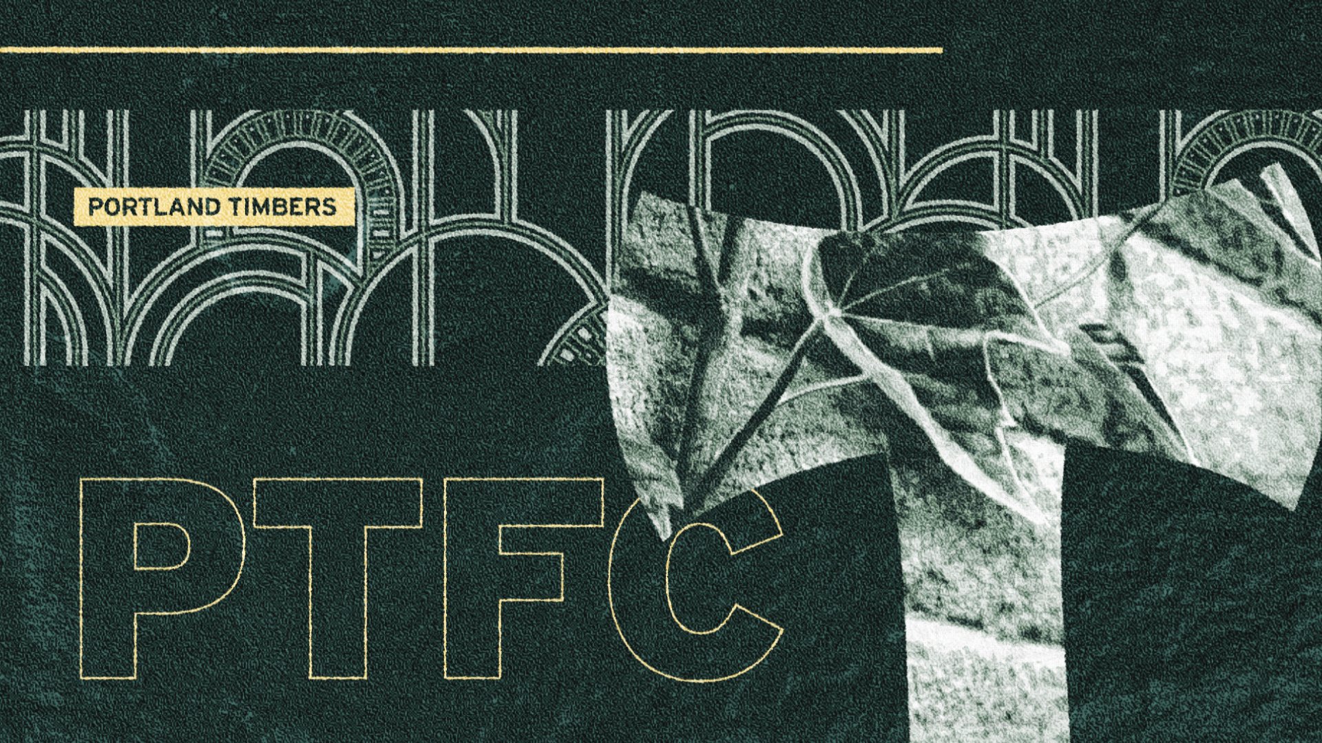 timbers styleframe - 27.jpg