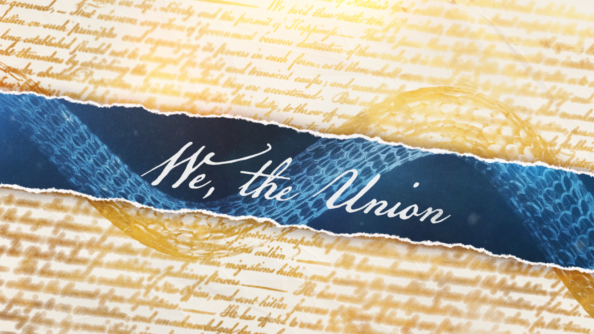 Philadelphia Union GFX Package - Josh_LogoLoop - Videoboard (M1)_2026-03-05_12.57.52.png