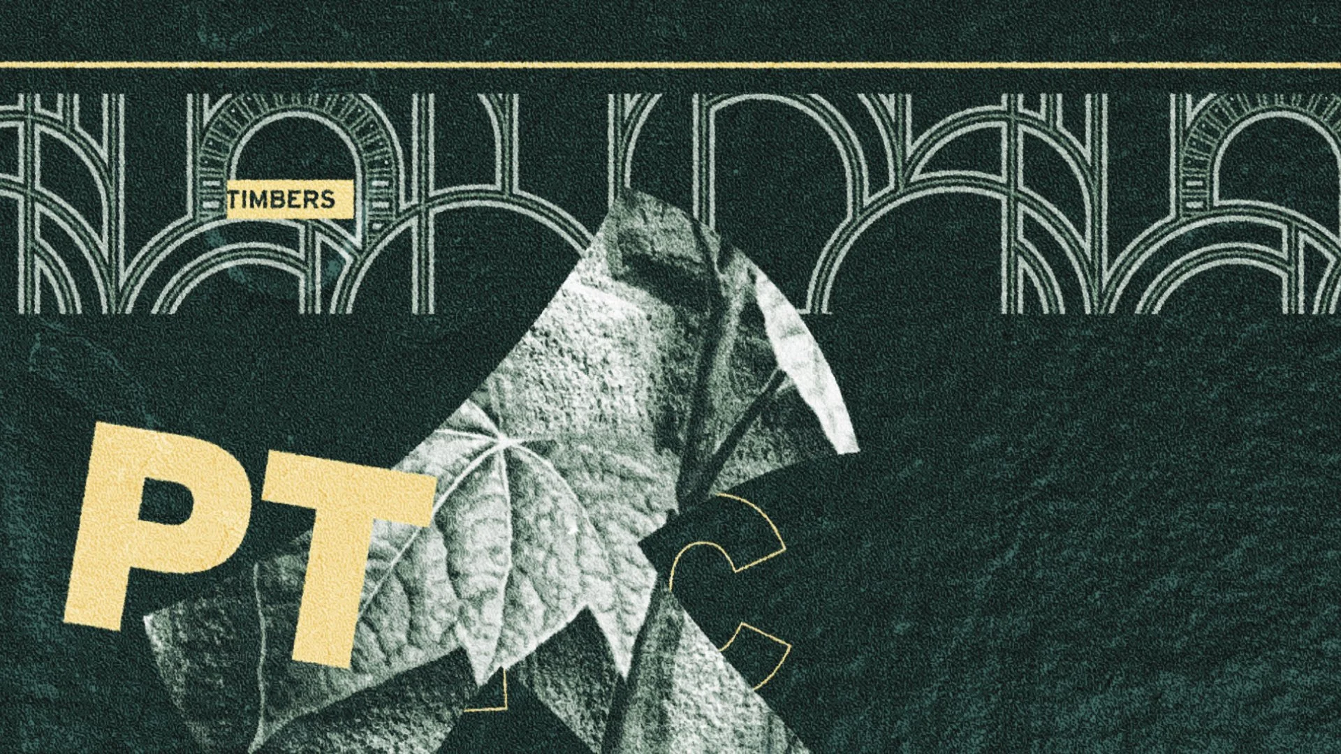 timbers styleframe - 26.jpg