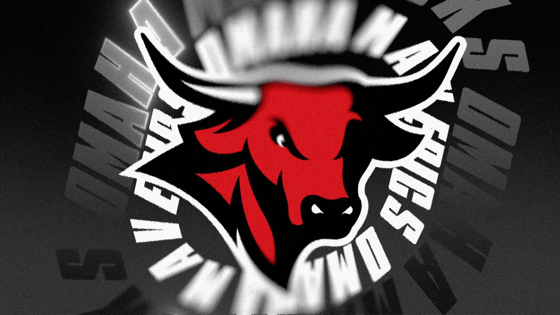 OMHA_LogoLoop - Display_00114.jpg