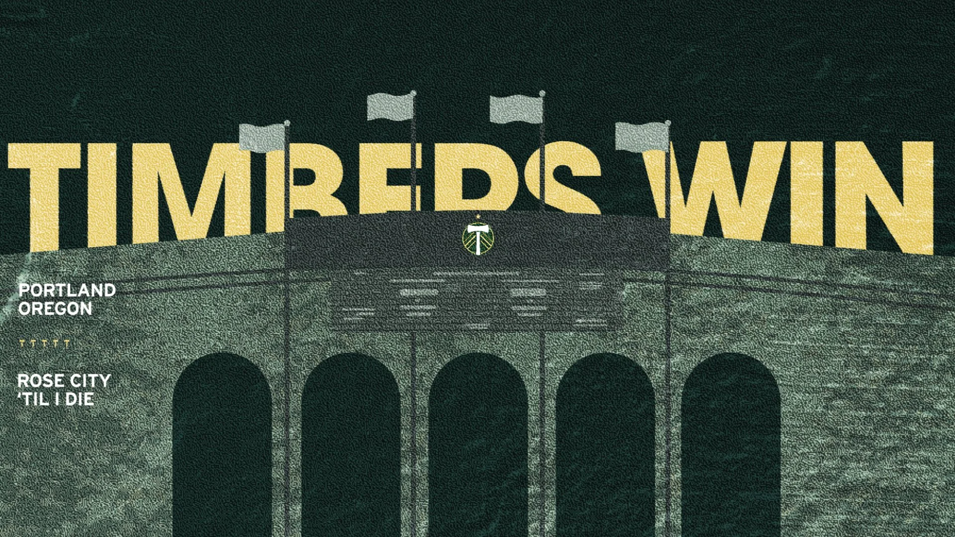 timbers styleframe - 18.jpg