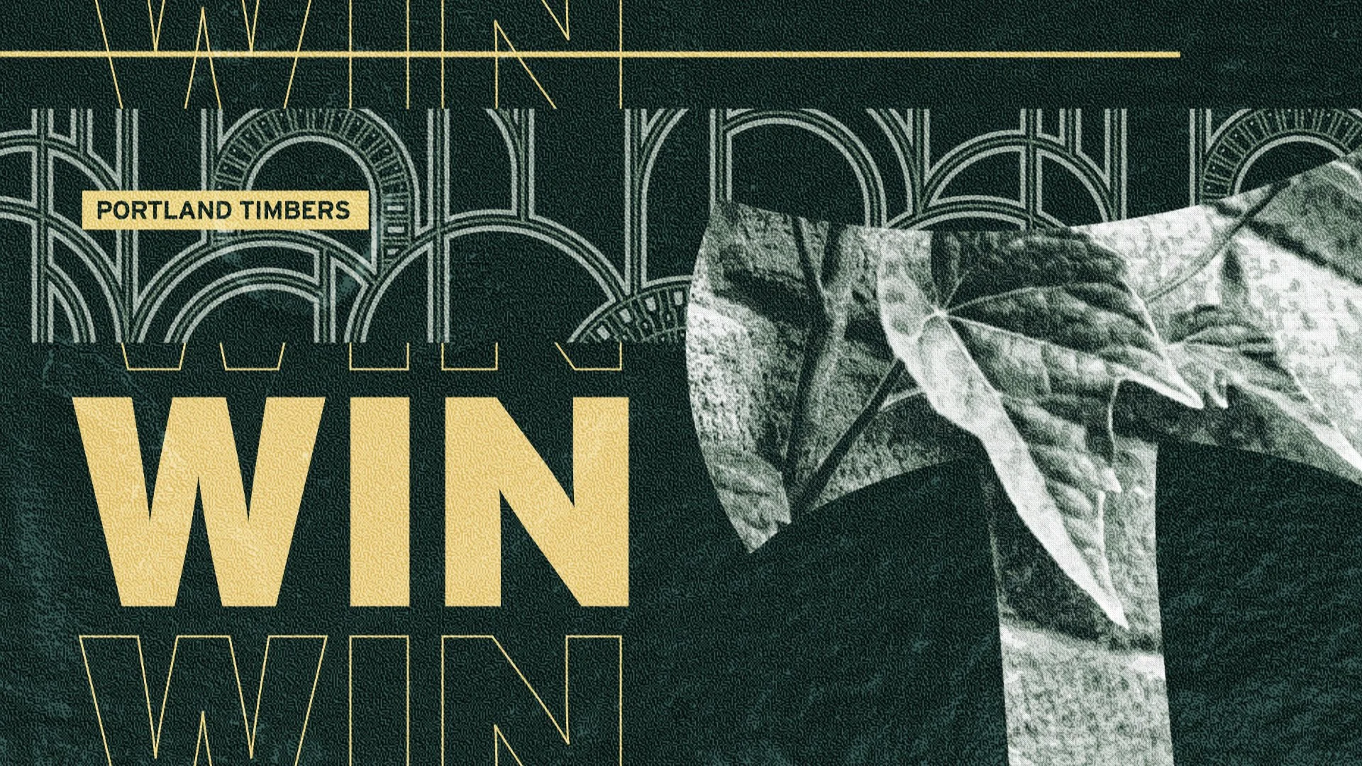 timbers styleframe - 11.jpg