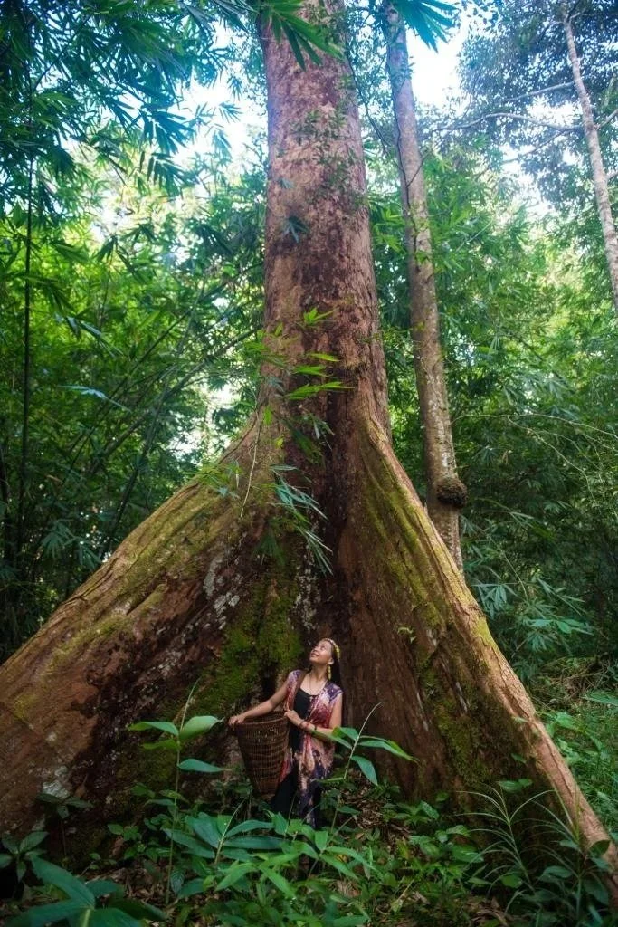 RTÉ Culture published Melanie’s reflective article about her expedition to Borneo and what she learned from the Dayak people.