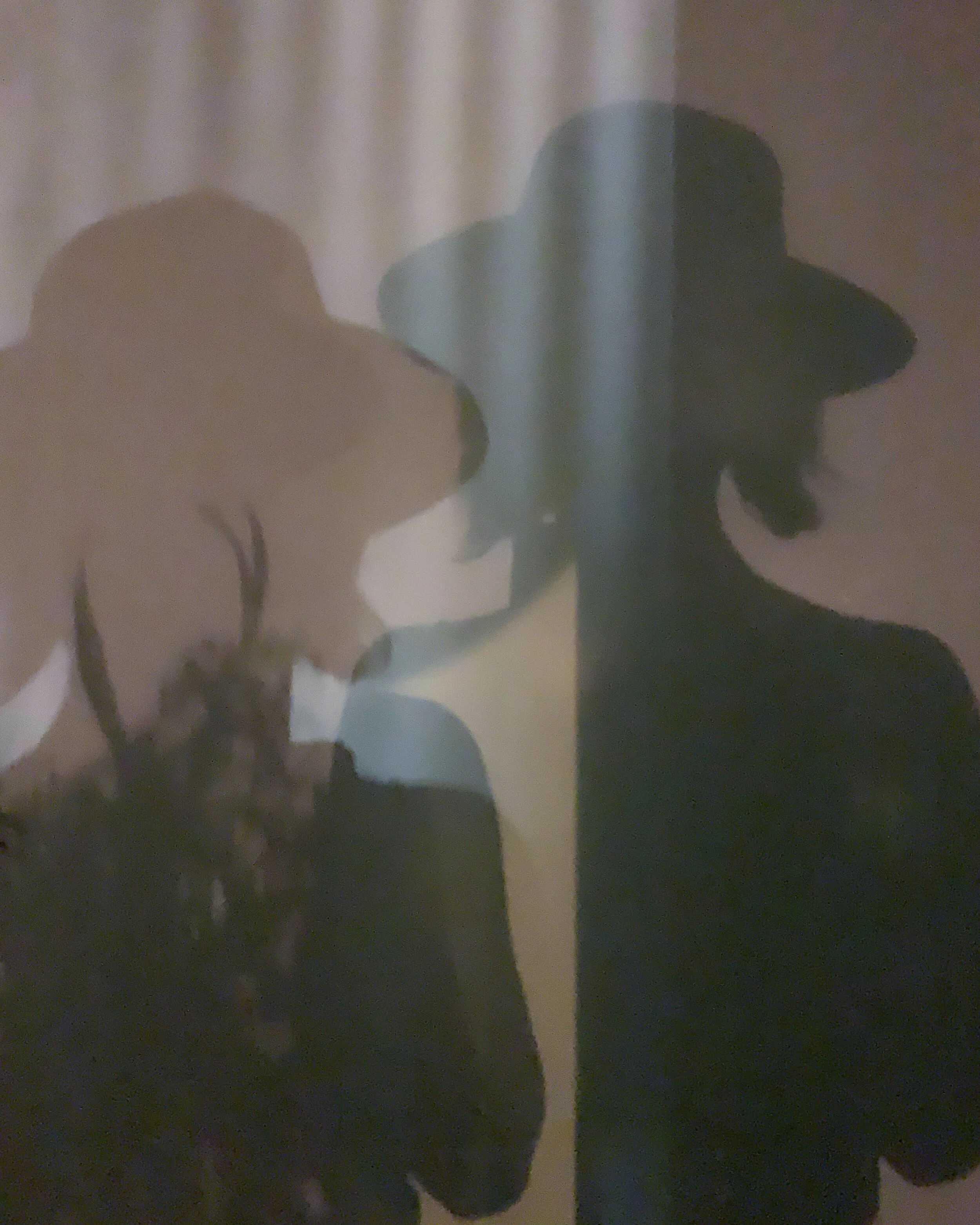 'shadows with lucy in the sky'
SEPTEMBER 2020 — kurrajong