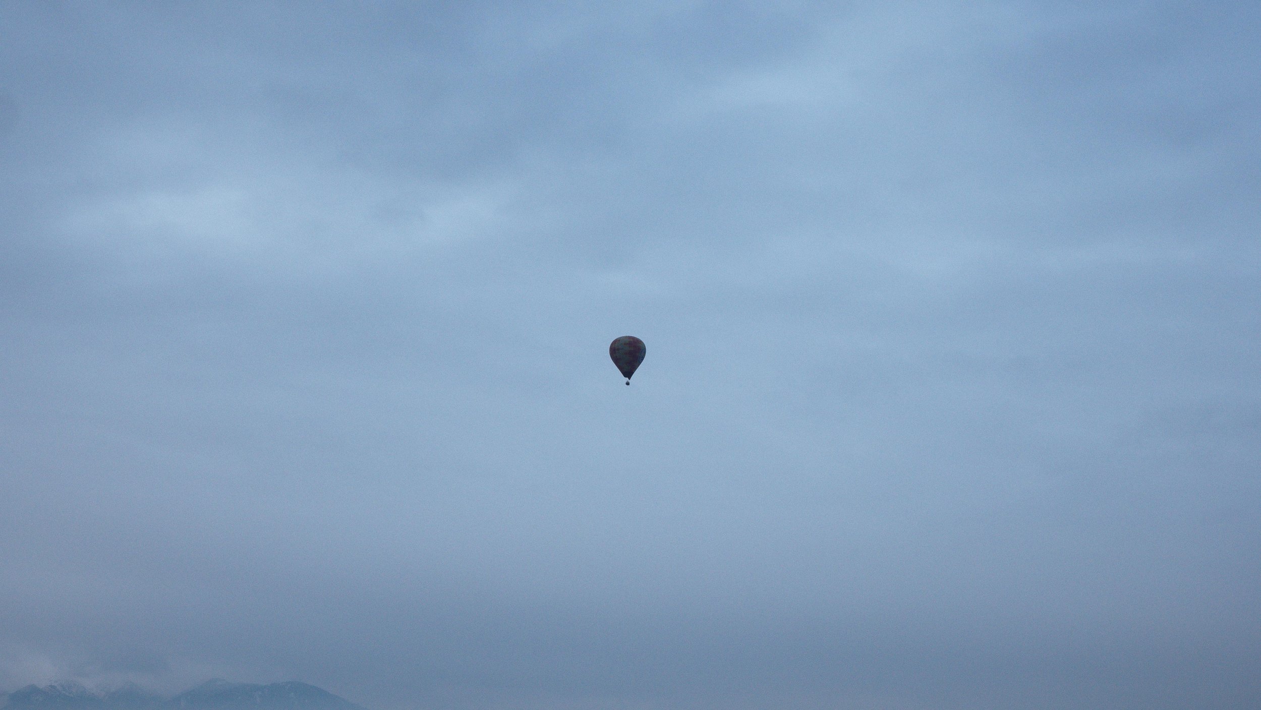 P2333408.jpg