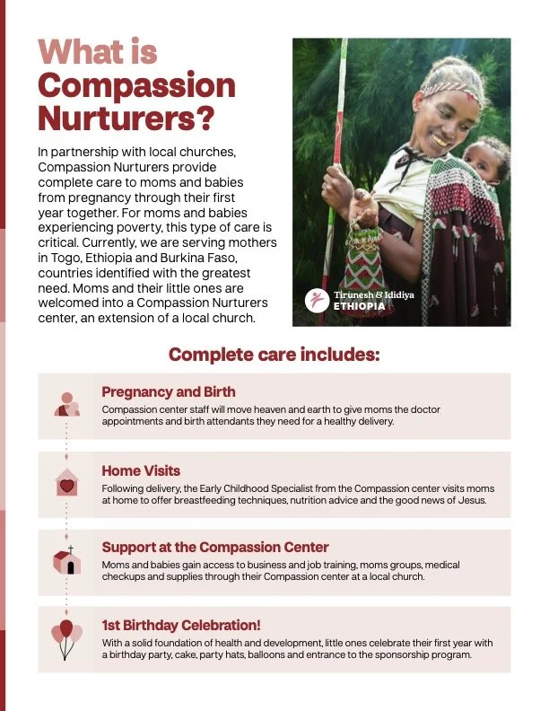 Nurturers Fact Sheet 2026_Final copy.jpg