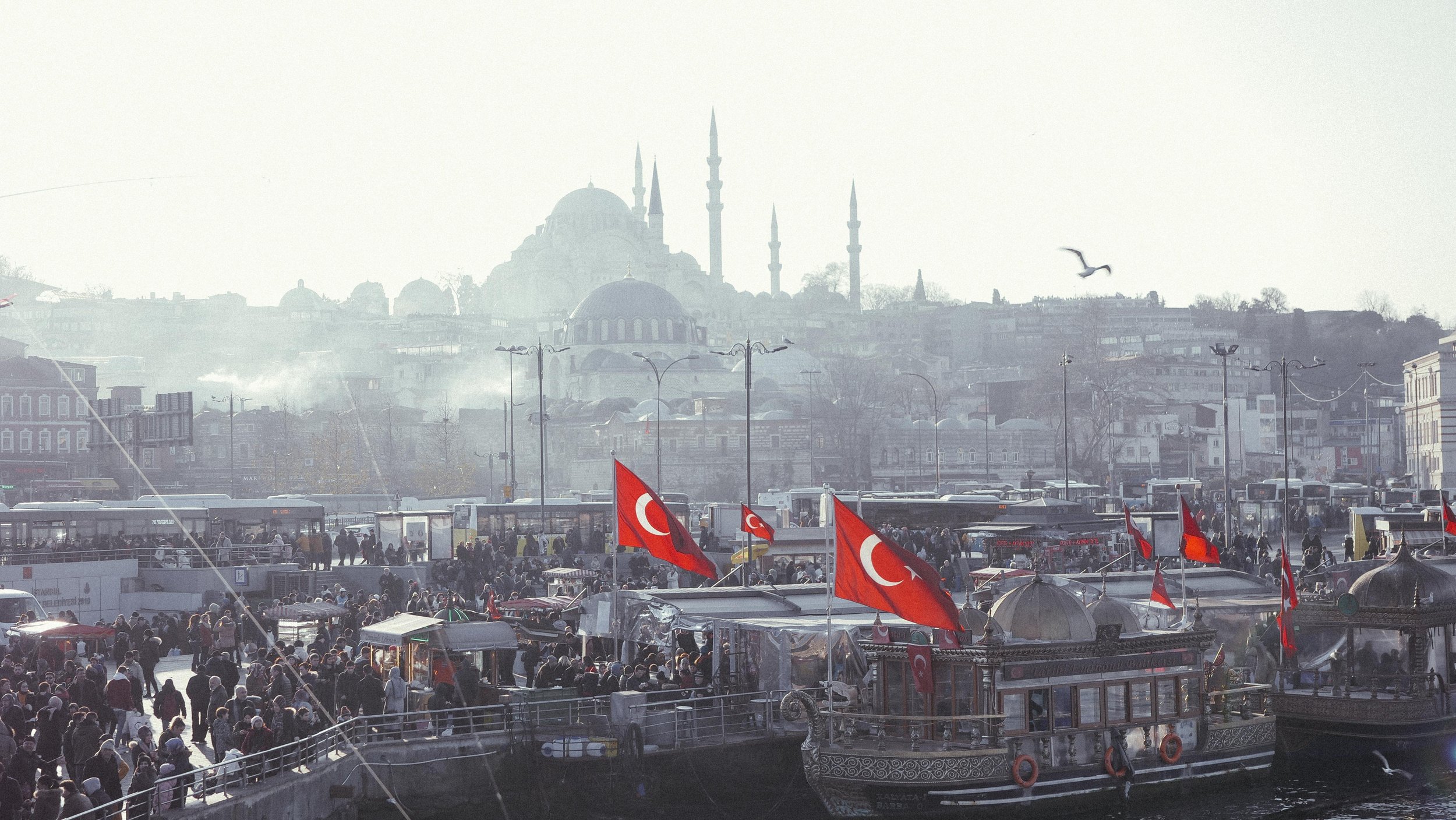 P2333051.jpg