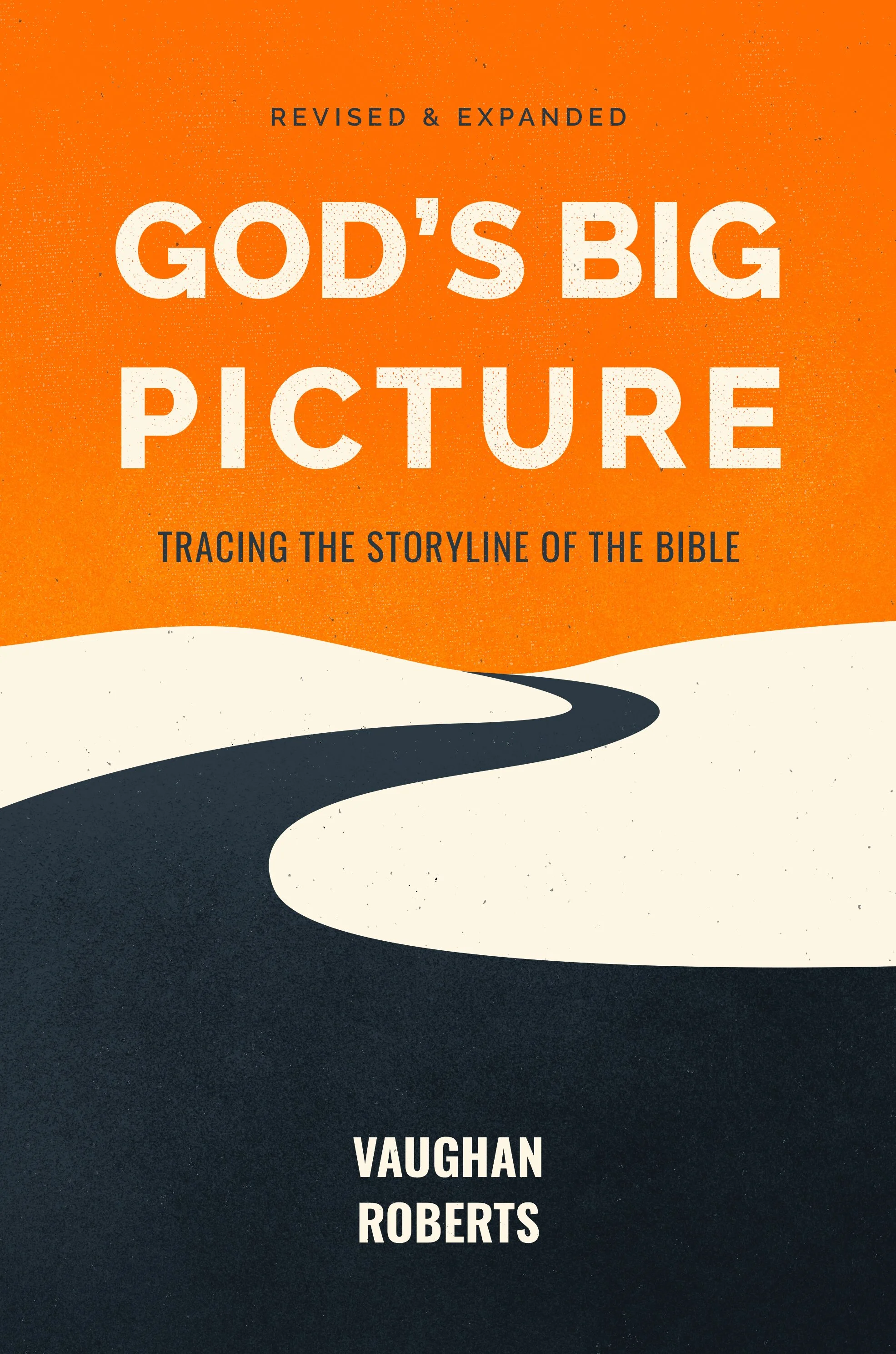 God's Big Picture cover.jpg