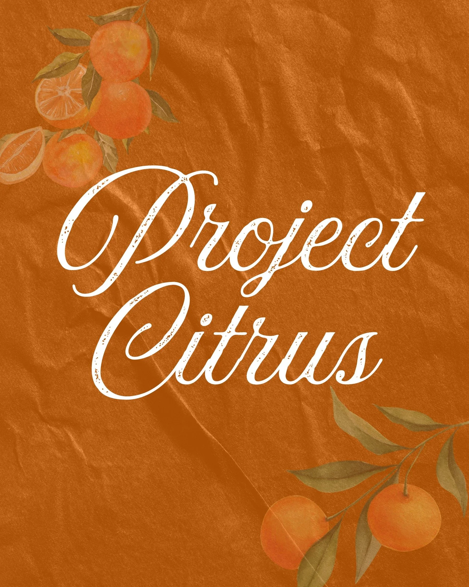 A Syracuse Store Update!
Due to delays, we're pushing back our opening to March 2026. Those at the Inner Harbor 5k yesterday heard the news in-person, but just want to pass it along for those that didn't attend. 
While it's quite the bummer for all