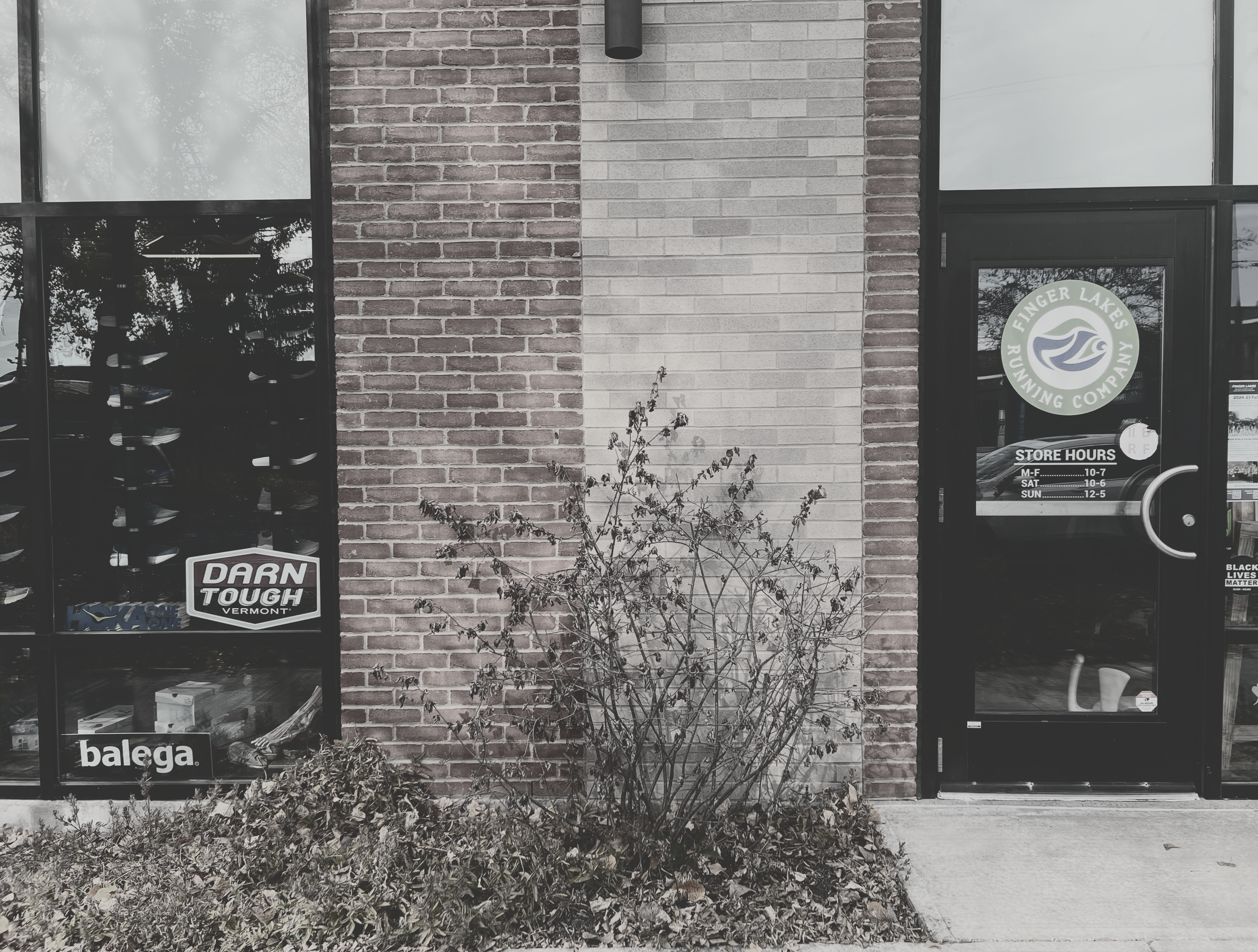Outside of a brick store with large windows and a door, displaying store hours and logo for Finger Lakes Running Company. A leafless plant is growing in front of the store.