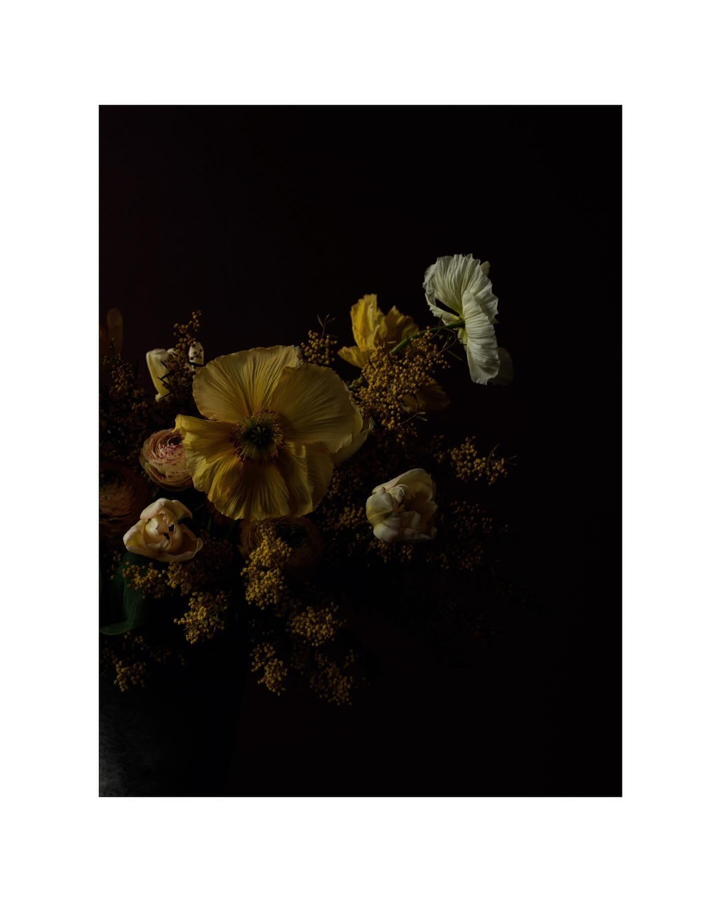 new flower series - thank you @petrasalvisberg for being creative together 
#springflowers #work #floraldesign #stylist #flowers #mood #photography #photographer #teamwork